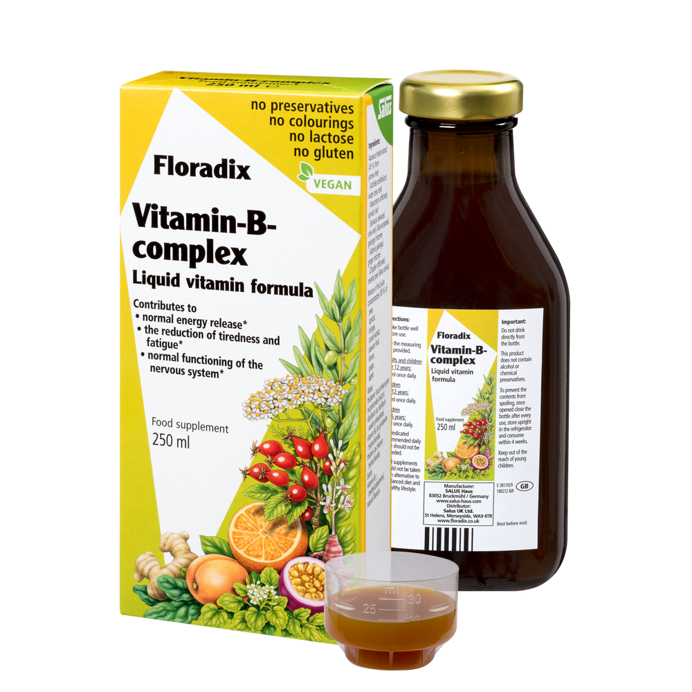 Salus Haus Floradix Vitamin B Complex Liquid Vitamin Formula Salus Haus
