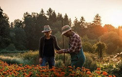 Sustainability at Salus