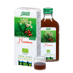 Fresh plant extract Hawthorn