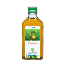 Pure fresh plant juice Celery Root