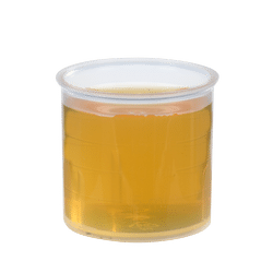 Pure fresh plant juice Celery Root