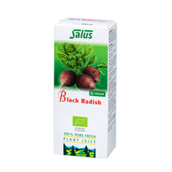 Pure fresh plant juice Black Radish