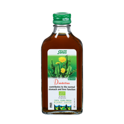 Pure fresh plant juice Dandelion