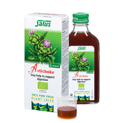 Pure fresh plant juice Artichoke
