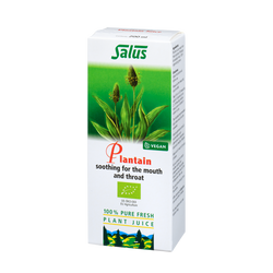 Pure fresh plant juice Plantain