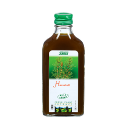 Fresh plant extract Horsetail