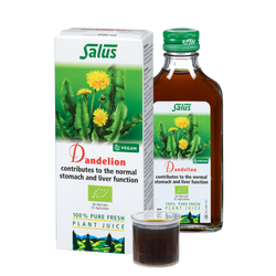 Pure fresh plant juice Dandelion