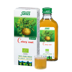 Pure fresh plant juice Celery Root