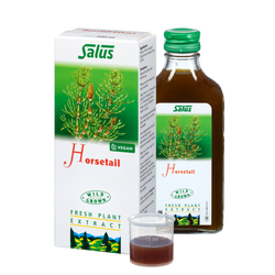 Fresh plant extract Horsetail