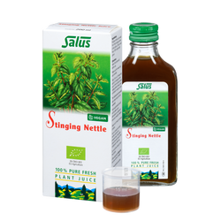 Pure fresh plant juice Stinging Nettle