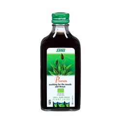 Pure fresh plant juice Plantain