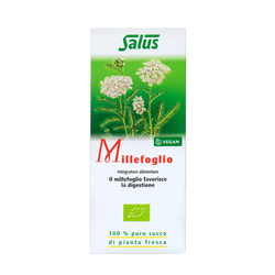 Pure fresh plant juice Yarrow