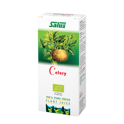 Pure fresh plant juice Celery Root