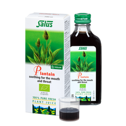 Pure fresh plant juice Plantain