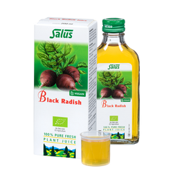 Pure fresh plant juice Black Radish