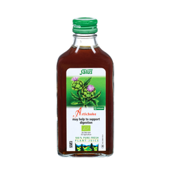 Pure fresh plant juice Artichoke