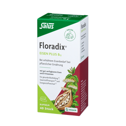 Floradix®, Iron plus B12 vegan capsules