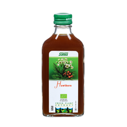 Fresh plant extract Hawthorn