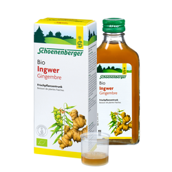 Pure fresh plant juice Ginger