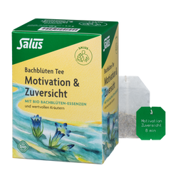 Bach flowers tea Motivation & Confidence