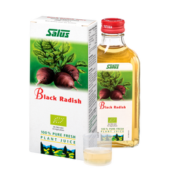 Pure fresh plant juice Black Radish