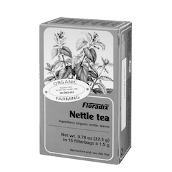 Nettle tea