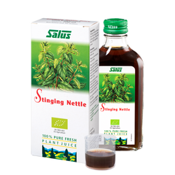 Pure fresh plant juice Stinging Nettle