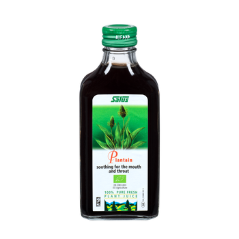 Pure fresh plant juice Plantain