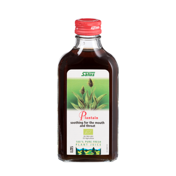 Pure fresh plant juice Plantain