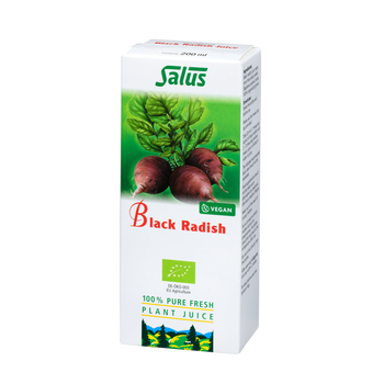 Pure fresh plant juice Black Radish