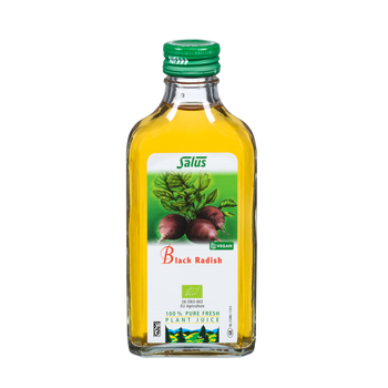 Pure fresh plant juice Black Radish