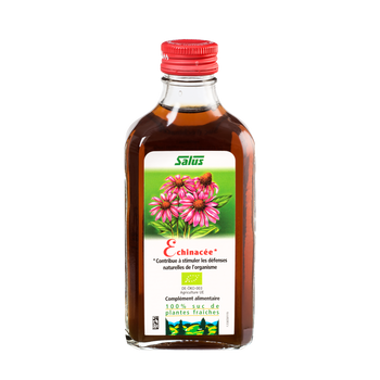 Pure fresh plant juice Echinacea