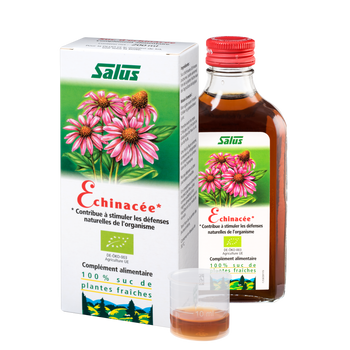 Pure fresh plant juice Echinacea