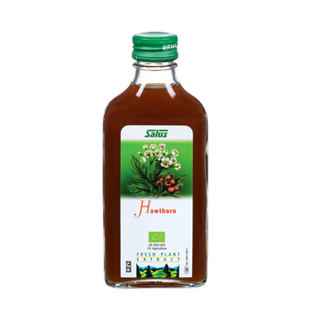 Fresh plant extract Hawthorn