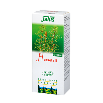 Fresh plant extract Horsetail