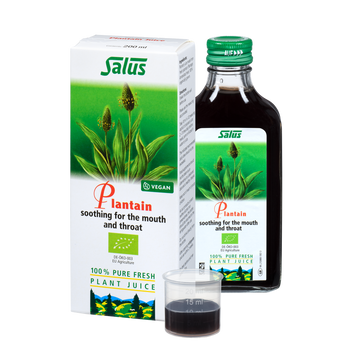 Pure fresh plant juice Plantain