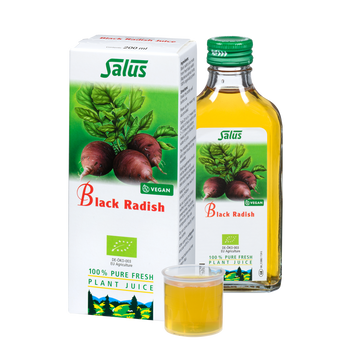 Pure fresh plant juice Black Radish