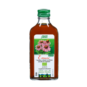 Pure fresh plant juice Echinacea