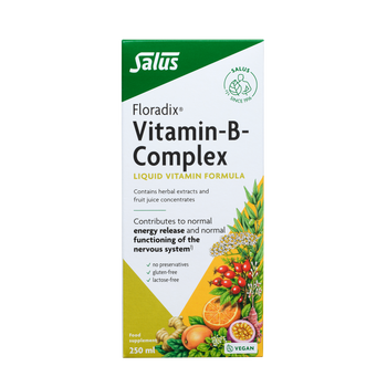 Floradix  Vitamin-B-Complex, Liquid vitamin formula
