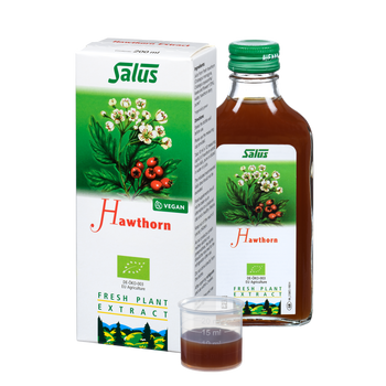 Fresh plant extract Hawthorn