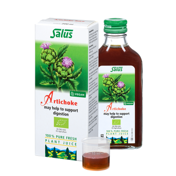 Pure fresh plant juice Artichoke