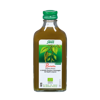 Fresh plant extract Birch