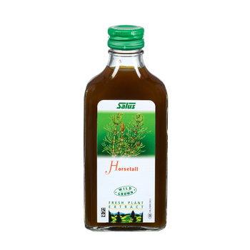 Fresh plant extract Horsetail