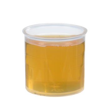Pure fresh plant juice Celery Root