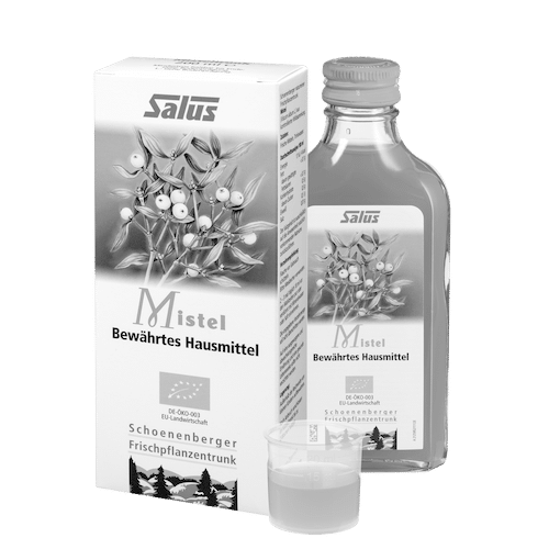 Pure fresh plant juice Mistletoe