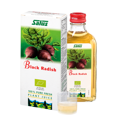 Pure fresh plant juice Black Radish