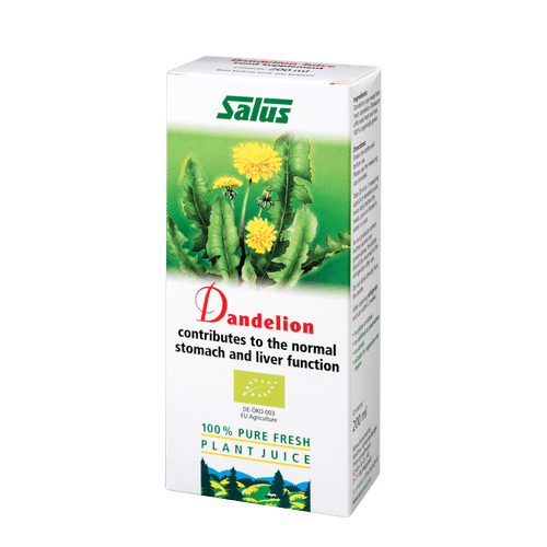 Pure fresh plant juice Dandelion
