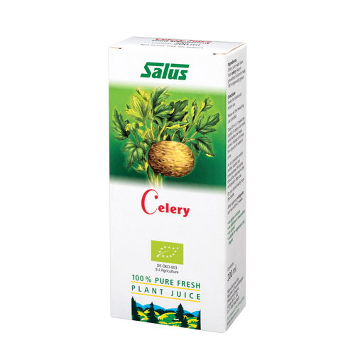 Pure fresh plant juice Celery Root