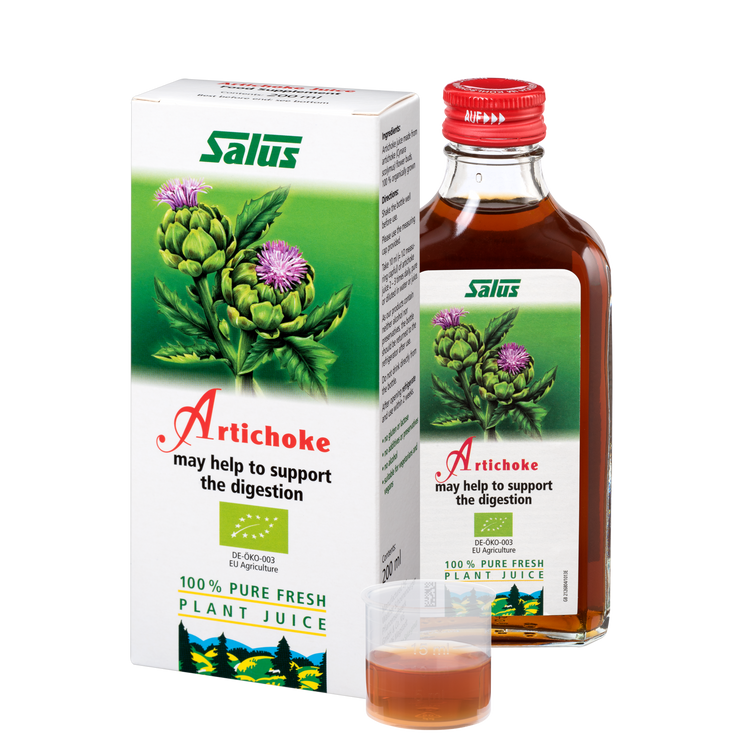 Pure fresh plant juice Artichoke