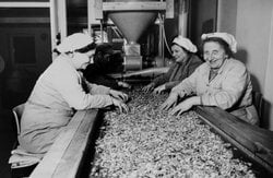 More than 100 years
of experience